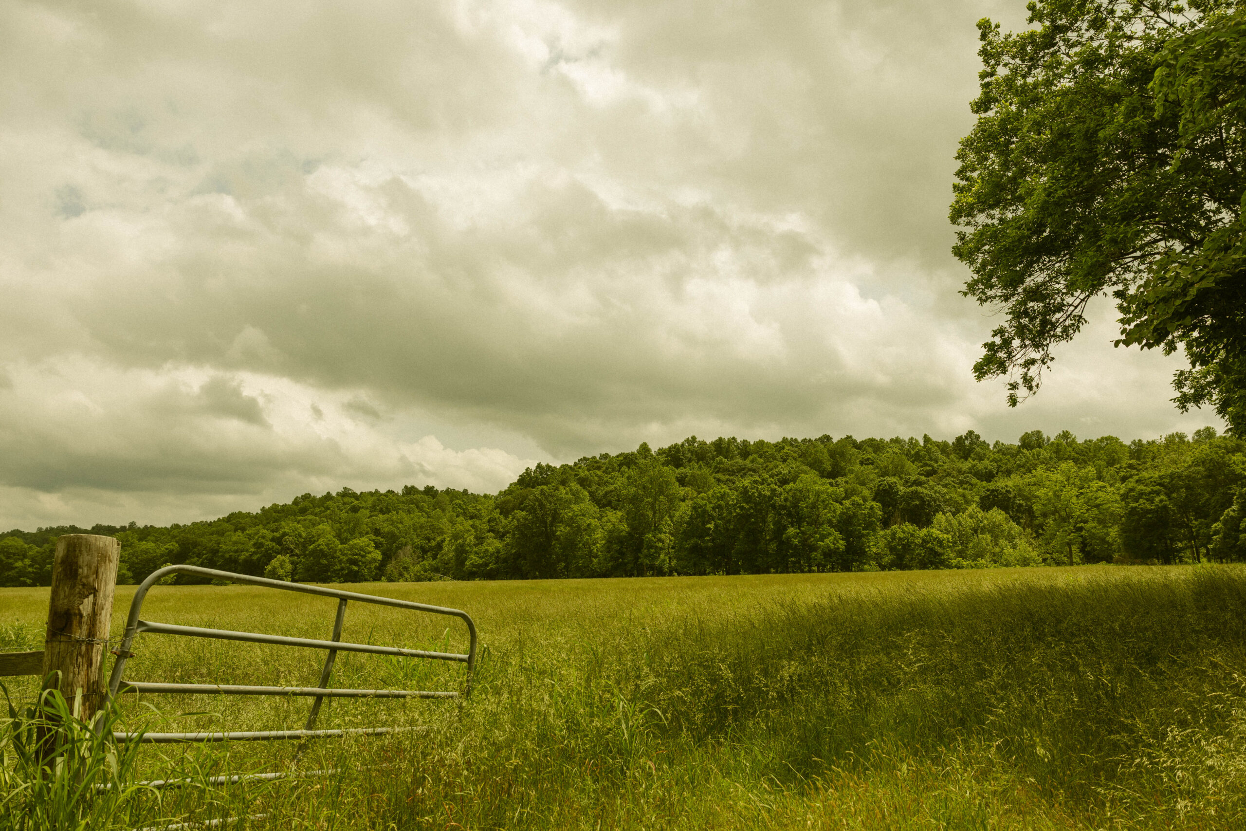 Open field and wooded hills in the Humphreys County, Tennessee countryside