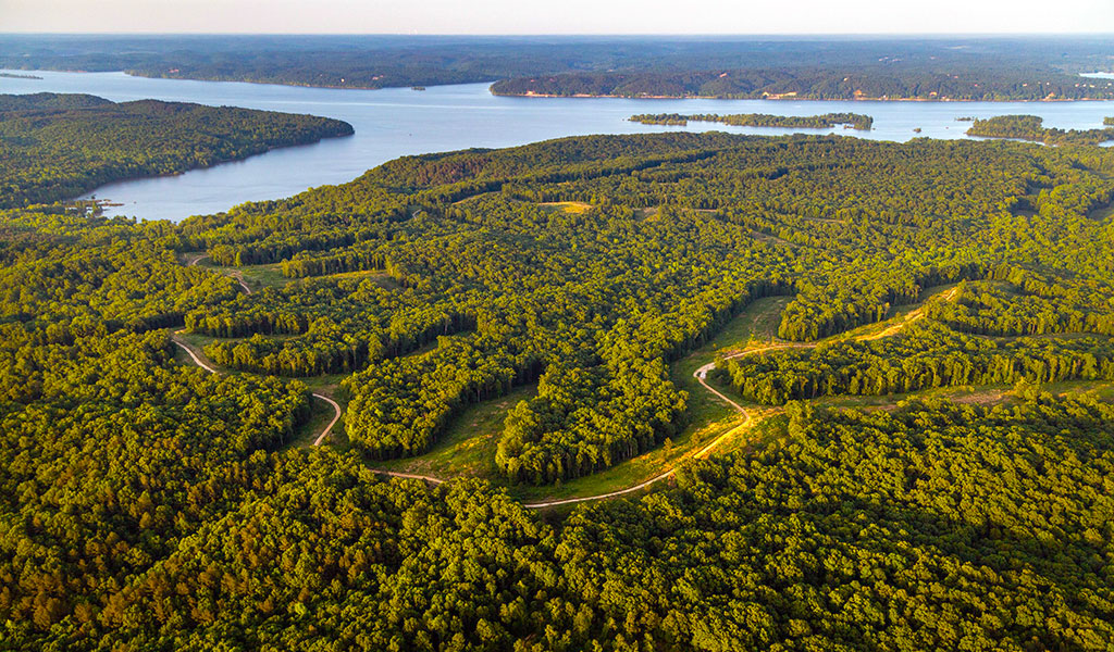 Aerial view of Kentucky Lake and wooded countryside in Benton County, Tennessee